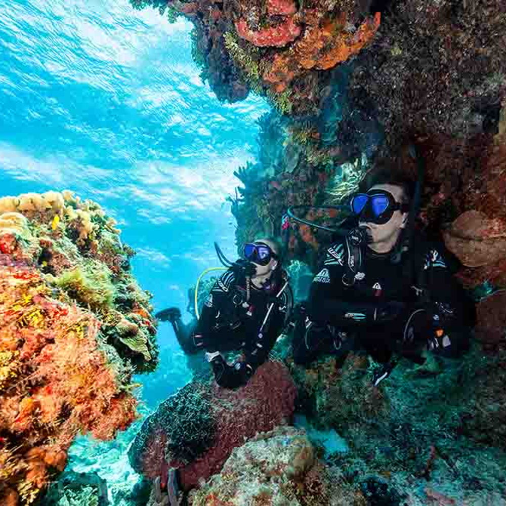 Premium Open Water Course