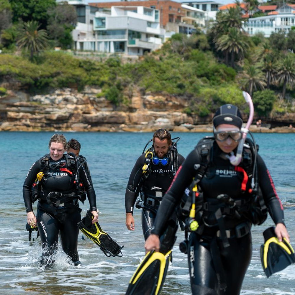 PRO DIVE Open Water Learn to dive Course in Sydney Voucher  [OW]