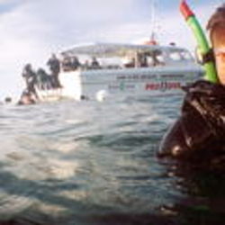 Winter - 2 Double Boat Dives Full Gear